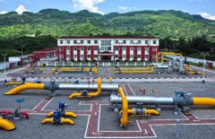 國(guó)壽壽險(xiǎn)：助力鄉(xiāng)村振興  國(guó)有險(xiǎn)企大有可為