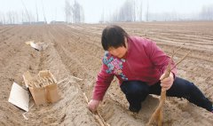 監(jiān)測(cè)顯示——南方12省份有沙患