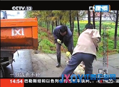 浙江嘉興村民不知80元生豬死亡補(bǔ)貼