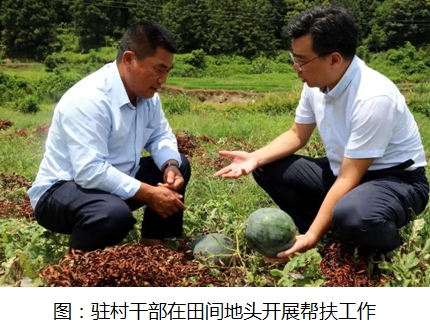 推動主題教育見行見效  為鄉(xiāng)村振興戰(zhàn)略貢獻(xiàn)國壽力量