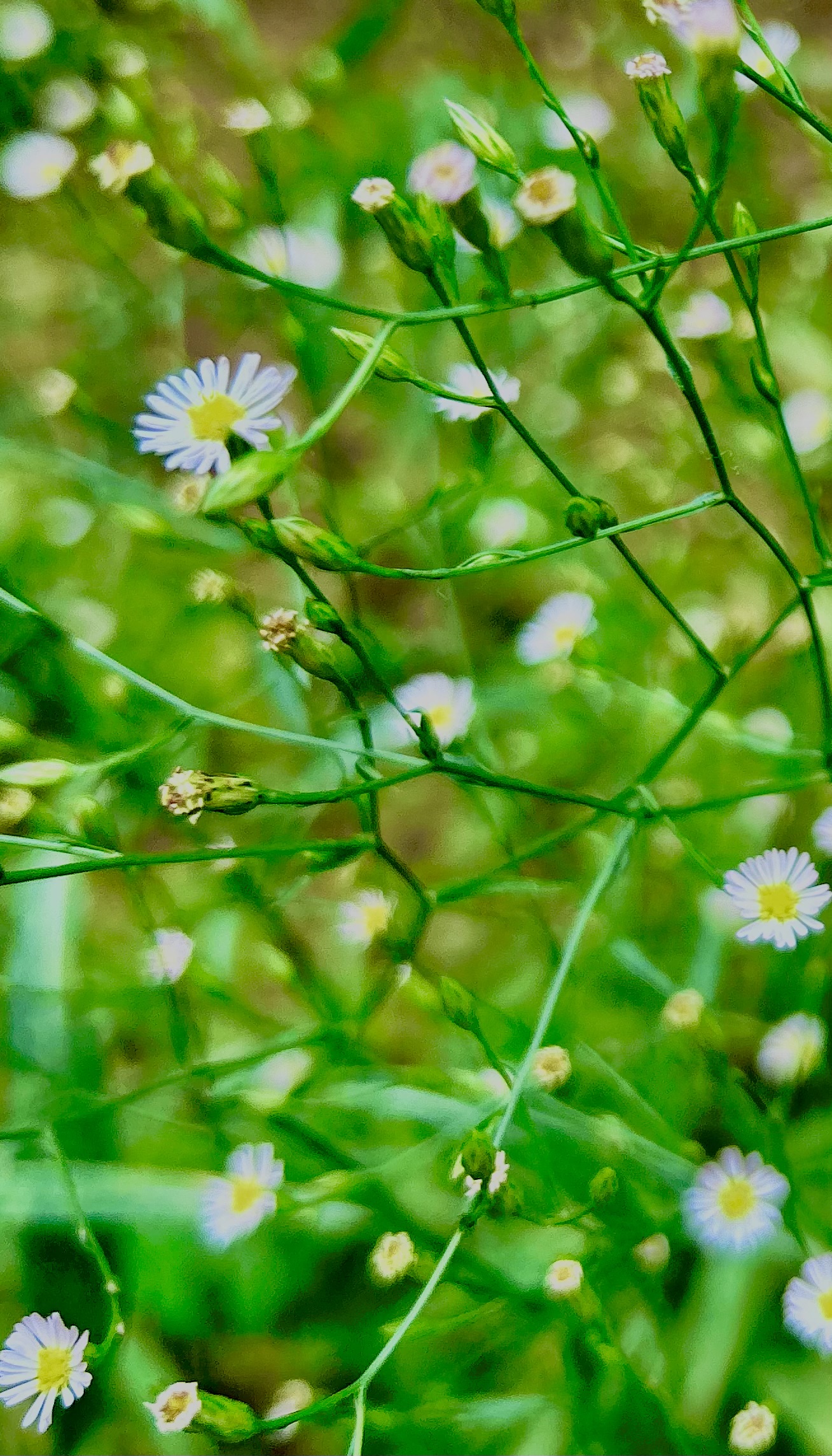 富德生命人壽“小海豚計(jì)劃”助力山區(qū)兒童，意外保險(xiǎn)理賠溫暖人心
