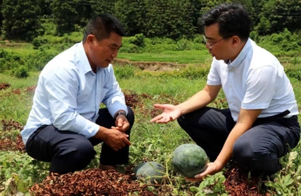 推動(dòng)“百千萬(wàn)工程”落地  國(guó)壽壽險(xiǎn)著力提升服務(wù)鄉(xiāng)村振興實(shí)效