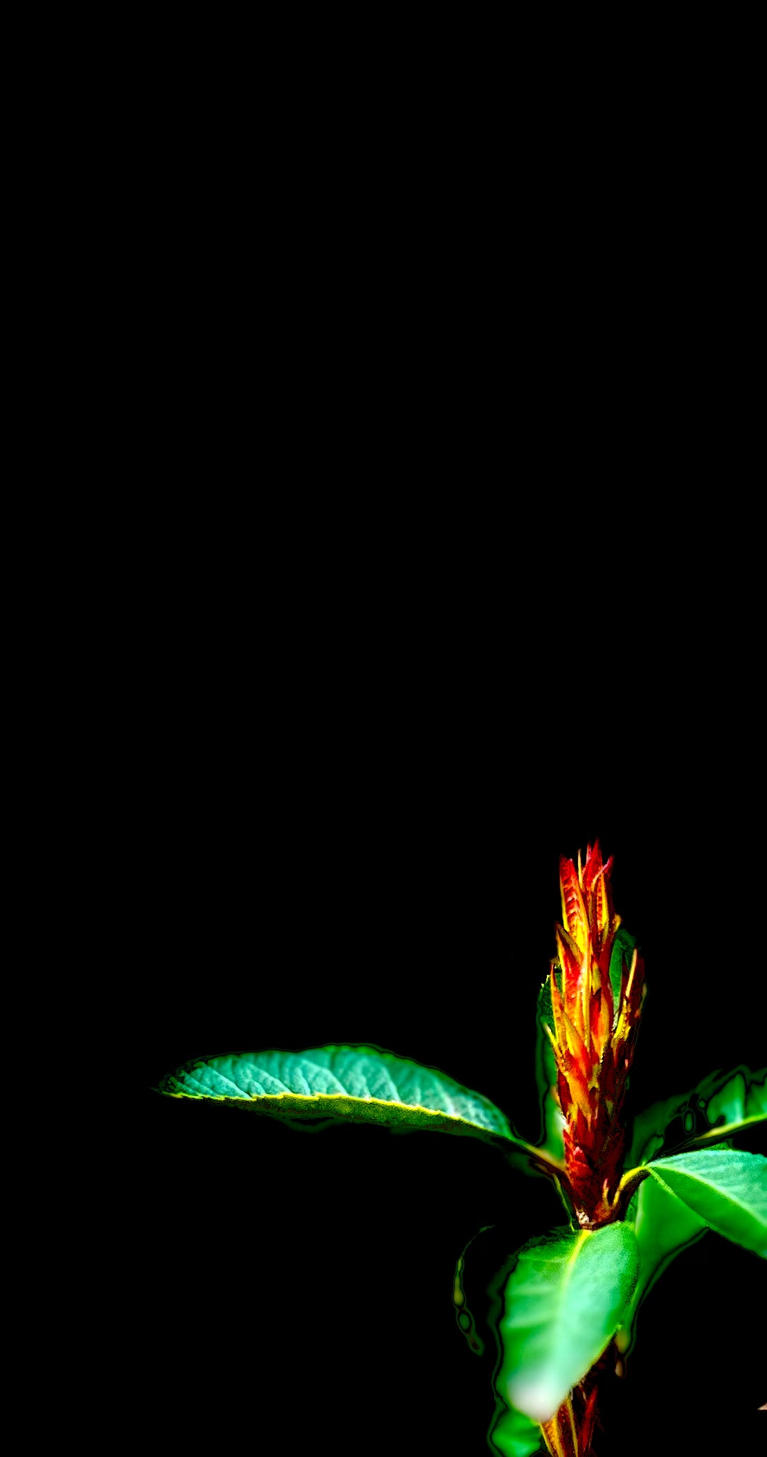 富德生命推出“臻愛(ài)保”長(zhǎng)期護(hù)理保險(xiǎn)，為失能群體提供全面保障