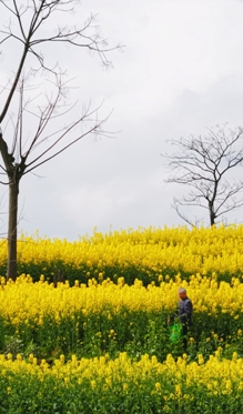 布衣老人與保險(xiǎn)使者：銀發(fā)浪潮下的中國(guó)人壽守護(hù)者聯(lián)盟